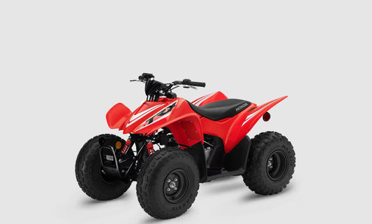 2025 HONDA TRX90X