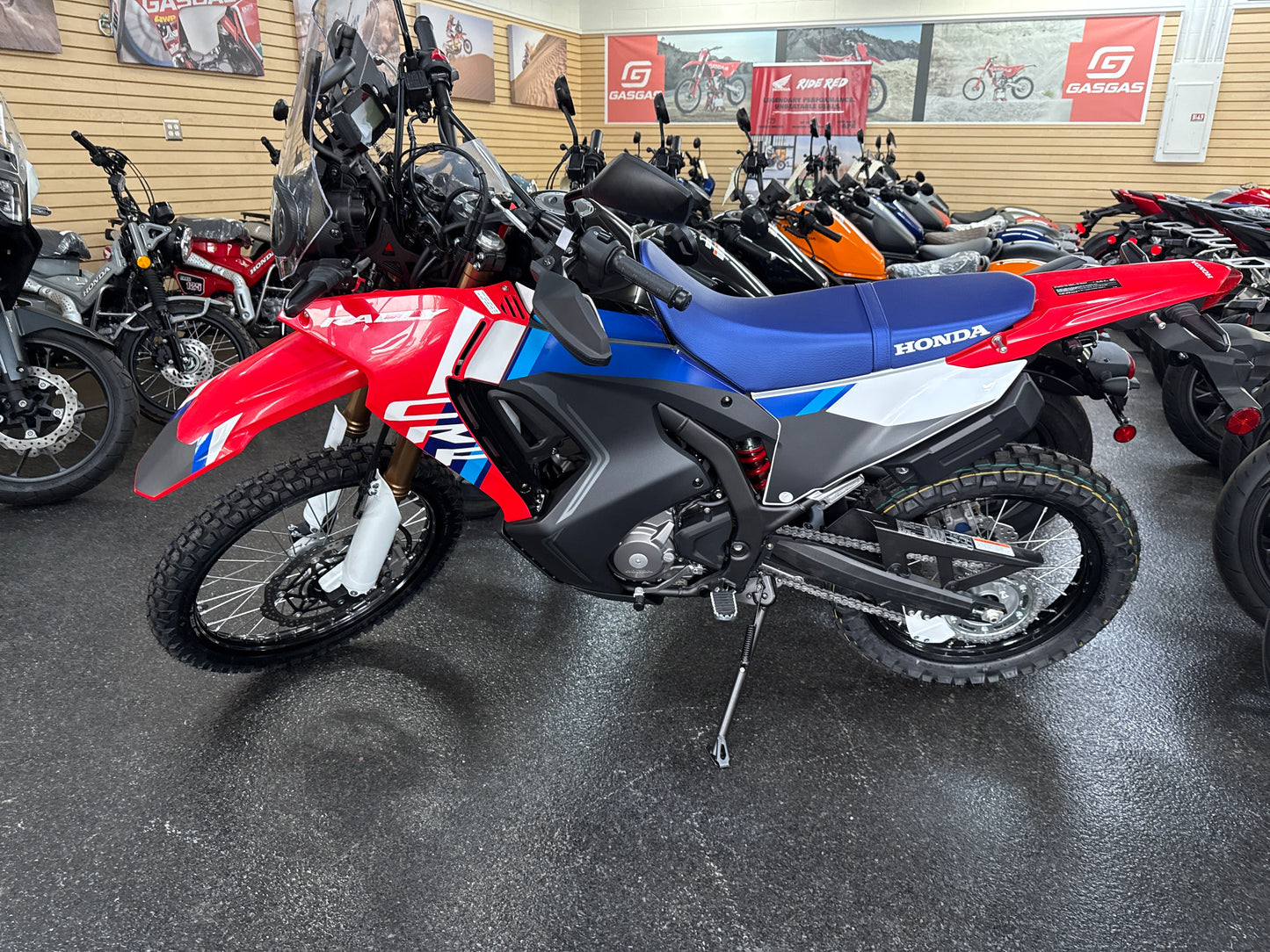 2025 HONDA CRF300L RALLY