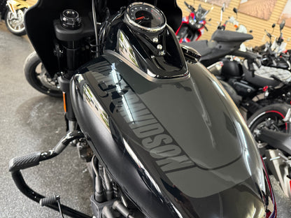 2019 HARLEY FAT BOB