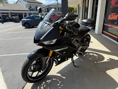 2019 YAMAHA R3 ABS