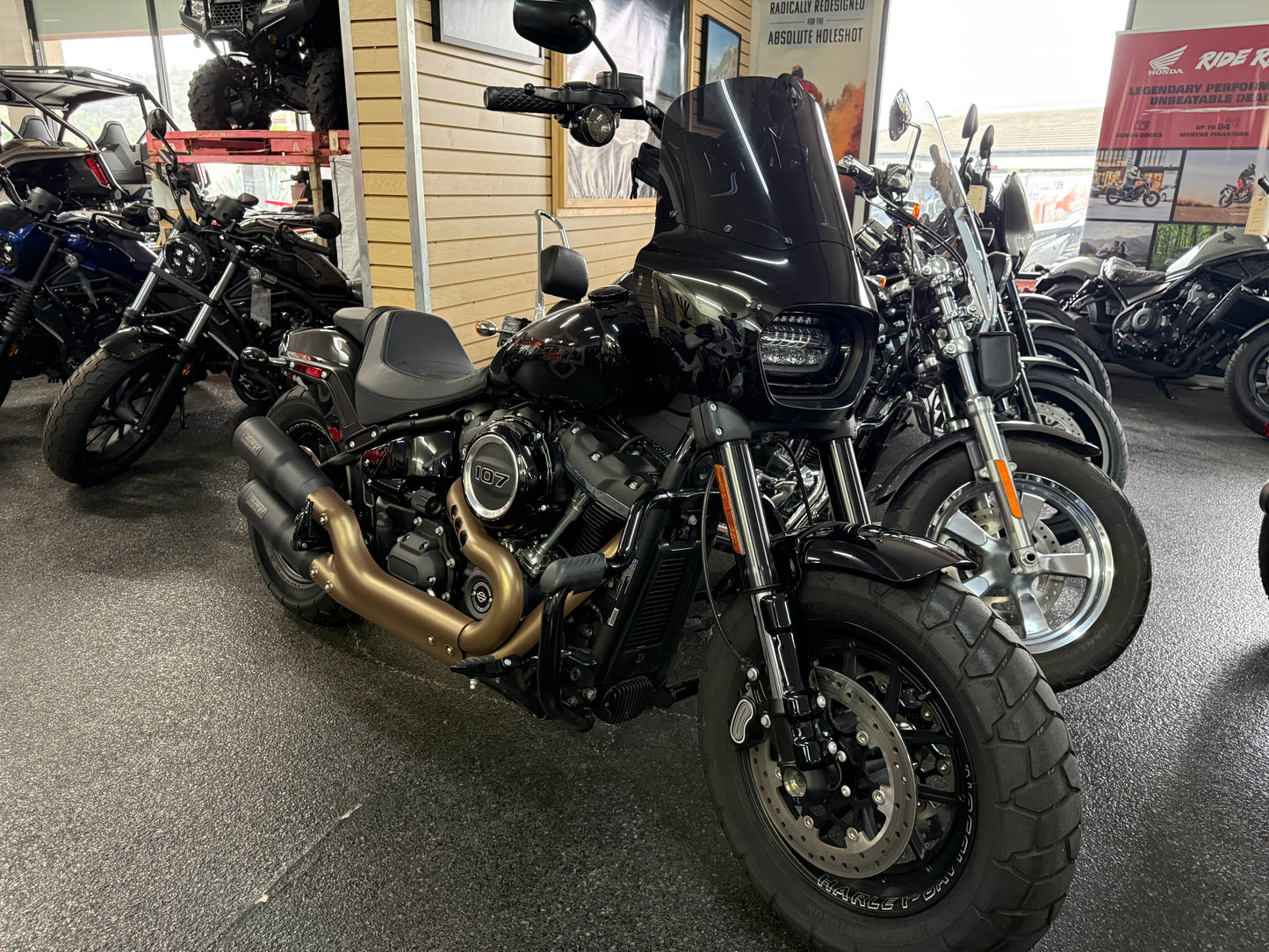 2019 HARLEY FAT BOB