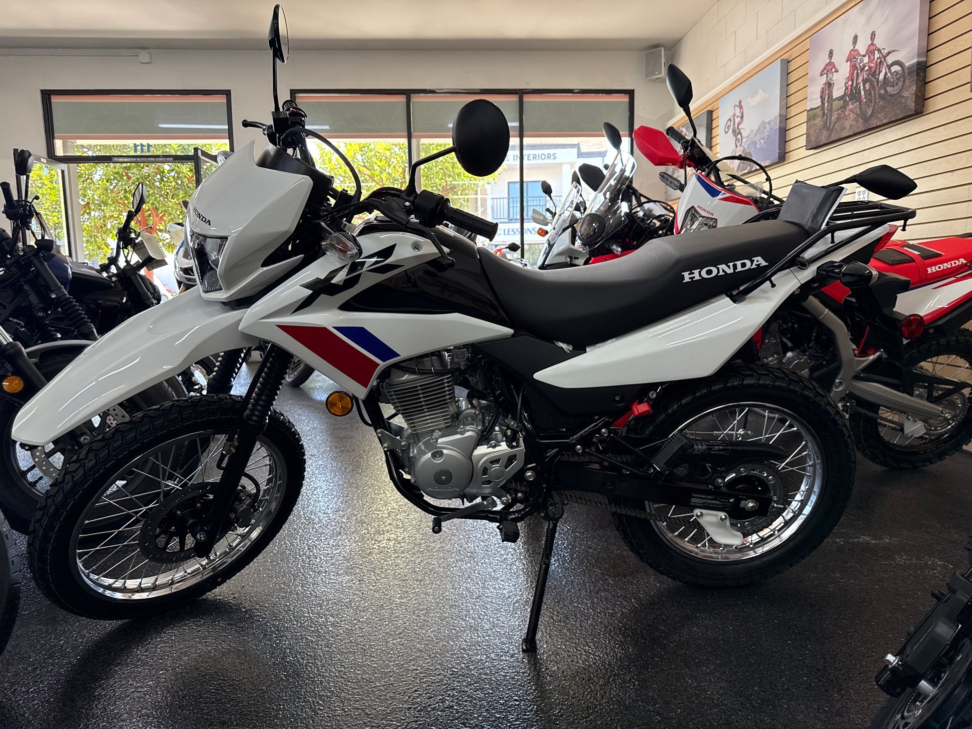 2025 HONDA XR150L For sale San Diego – Poway Powersports