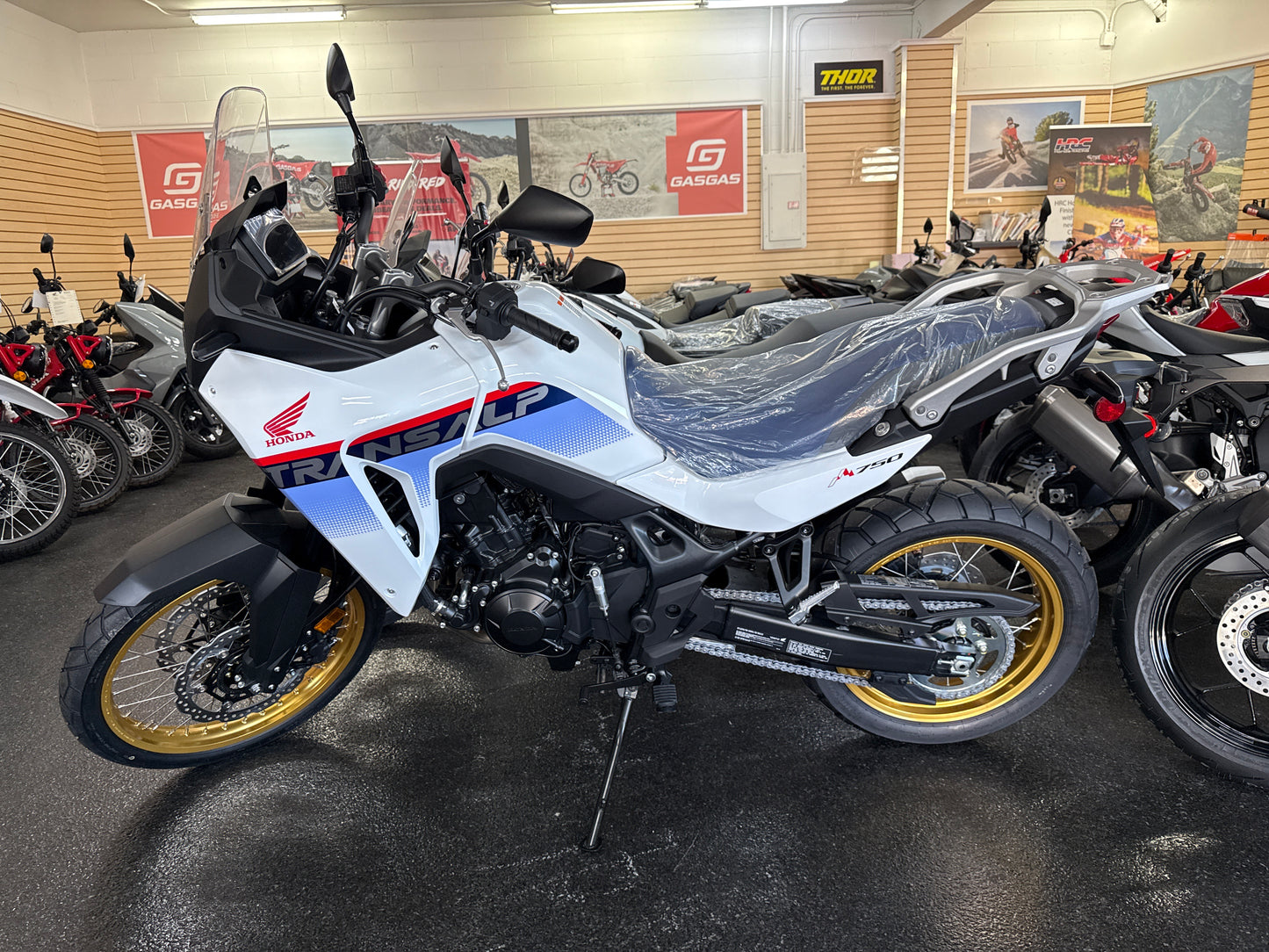 2025 HONDA TRANSALP