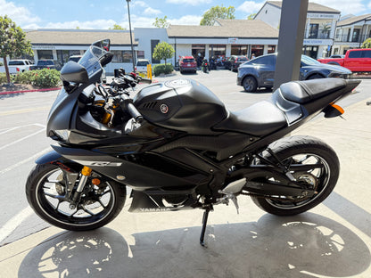 2019 YAMAHA R3 ABS
