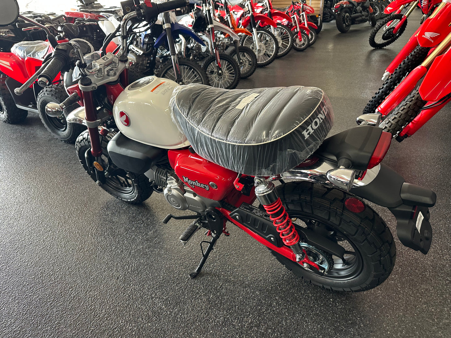 2025 HONDA MONKEY
